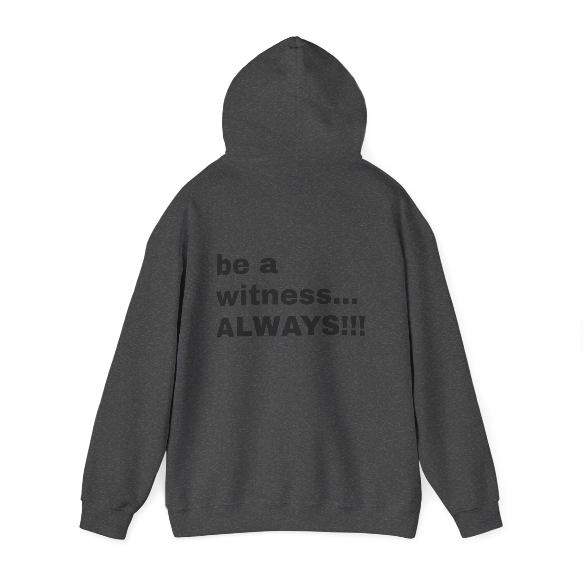 MATTHEW 5:16 - be a witness,,, ALWAYS!! (back) Hoodie