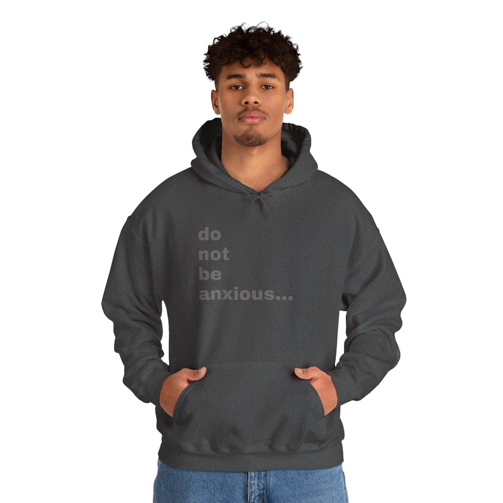 do not be anxious... Philippians 4:6-7 Sleeve Hoodie