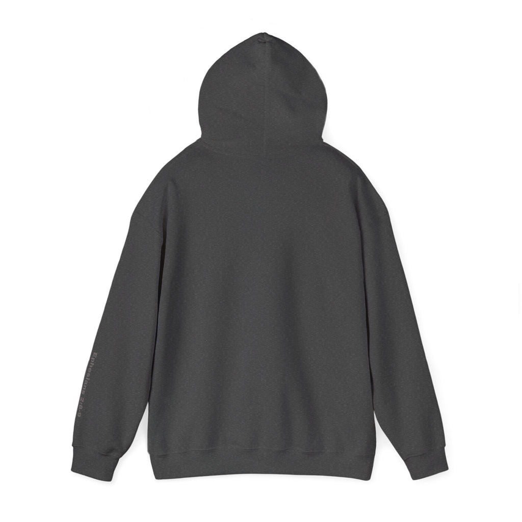 saved by grace, through faith..., Ephesians 2:8-9 Sleeve Hoodie